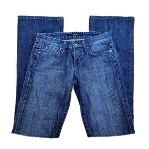 Women’s Joe’s Jeans Vintage Low Rise Fit Lover Boyfriend Size 25x32